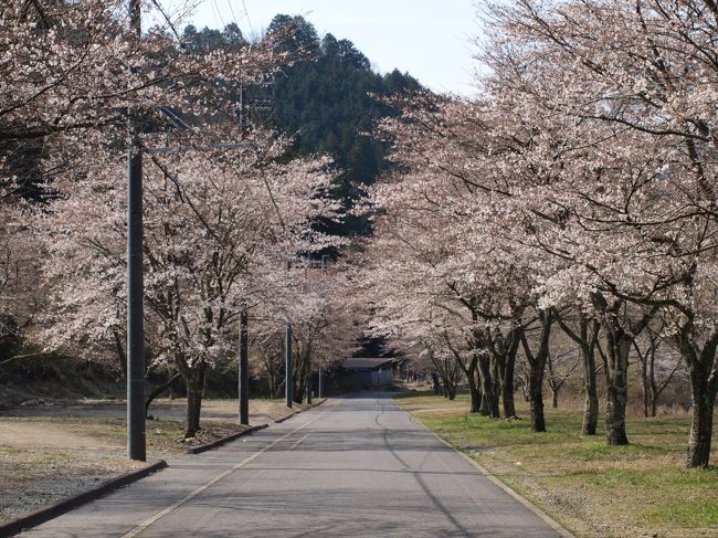 岐阜県の板取川へ湧水を求めて<br /><br />高賀神社の神水庵<br /><br />高橋なおこさんがオリンピックの給水に<br /><br />使用して有名になった所みたいです<br /><br />ポリタンク2個で100円<br /><br />ペットボトル2個でも100円<br /><br />ポリタンクは現地で貸してくれますので<br /><br />ペットボトルの方は借りたポリタンクから<br /><br />ペットボトルに゛見地で入れ替えればOK<br /><br />途中の温泉で猿発見<br /><br />20頭位の群れでした