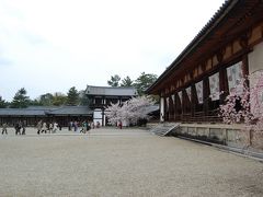 法隆寺の桜