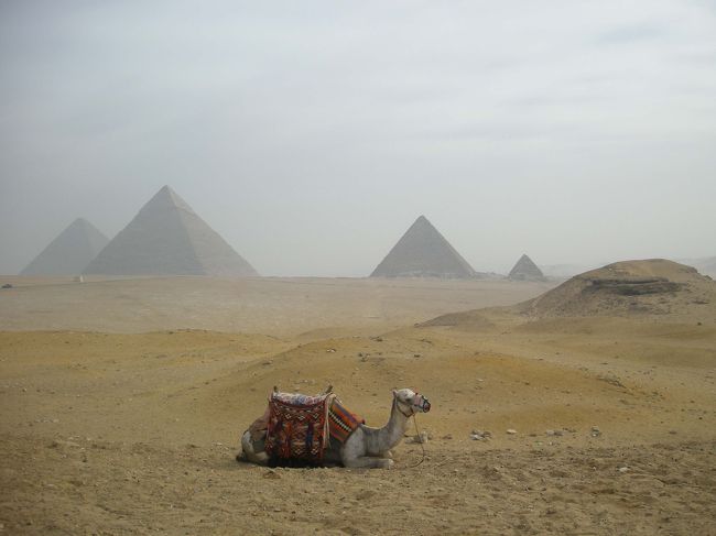 ドバイ経由でエジプトに到着、最初にギザ地区に滞在して<br />ギザの３大ピラミッド見学に出かけました。<br />何度訪ねてもエジプトの遺跡群の力技には圧倒されます。<br />その後スフィンクスも見学しました。<br />