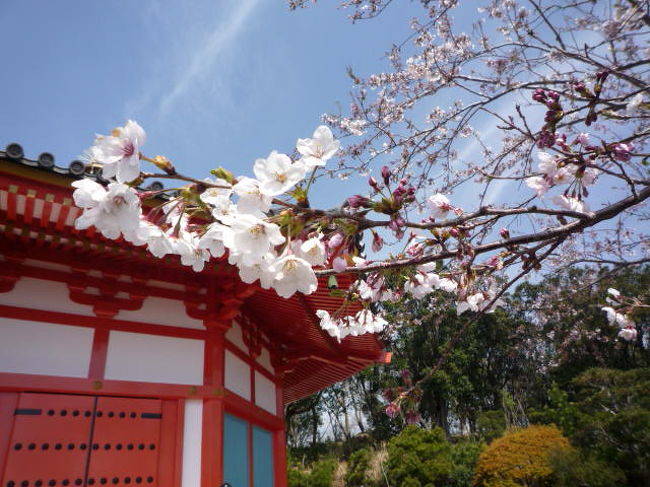 伊豆半島の南に位置する下田市<br />お天気もよく、桜も見ごろで見所満載！<br />のんびりゆったりリフレッシュできました