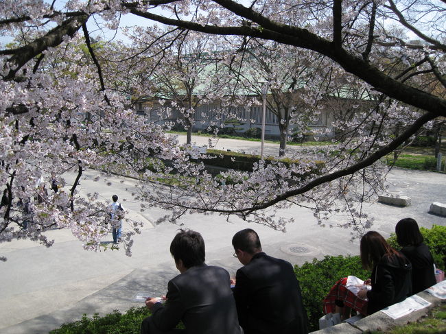 今日は少しかすみがかった晴天。<br /><br />檜花粉で目がかゆ〜いにもかかわらず<br />お昼に大阪城まで足をのばしました。<br /><br />サクラもいい感じになってきました。<br />その分人も多め<br /><br />