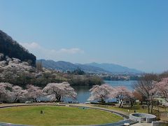 春爛漫・桜満開　津久井湖