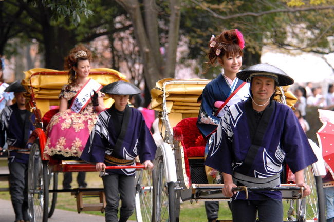 「20万人の広場」各務原市民公園で <br />2009ミスかがみがはら、さくら、キャロット、コスモの発表<br />今年は少し遅れて初めて発表会を拝見しました。<br />加えて、「20万人の広場」でイベントがあり<br />その後..園内をパレード＆一周人力車で回りました。<br /><br />ミスかかみがはら2007の方々とは，大変遅れて人力車乗り場で会い<br />今年で卒業..いろいろ大変でしたが安堵様子が伺えました。<br />ミスかがみはら.ミスコスモスの方が人力車に乗られ<br />もう一人ミスキャロットの方は.お母さんと一緒に<br />今年は、2008ミスかかみがはら方々の人力車がなく<br />ミスかがみはら.ミスコスモスのは、早々に帰られました。<br />去年同様.もう一人ミスキャロットの方は.お母さんと一緒に<br />そこで、お母さんの許しを得て、ミスキャロットと桜で<br />写真を撮らせて頂きました。一年間御苦労様。<br />雨がちらちらと降り始めて..急いで帰るが<br />各務原市から岐阜市の道三まつりへ雨の中車で走る・<br /><br />■旅行名：第33回各務原市桜まつり..その2/桜<br />■ＵＲＬ：http://4travel.jp/traveler/isazi/album/10324835/<br /><br />各務原市桜まつり データ<br />会場　　　　新境川堤<br />住所　　　　岐阜県各務原市<br />交通　　　　名鉄市民公園前駅から徒歩すぐ<br />駐車場　　　あり(有料500台)<br />料金　　　　無料<br />問合せ先　　058-383-9925(市役所観光交流課)<br />ドライブ　東海北陸道岐阜各務原ICから国道21号経由で4km10分<br /><br />■旅行名：第32回各務原市桜まつり..その1...桜と人力車<br />■ＵＲＬ：http://4travel.jp/traveler/isazi/album/10232972/<br />■旅行名：第32回各務原市桜まつり..その2...桜と桜観覧船<br />■ＵＲＬ：http://4travel.jp/traveler/isazi/album/10232975/<br /><br />時間が有りましたら一昨年の様子です。<br />第31回各務原市さくら祭り<br />http://orangestudio.homeip.net/gallery/user.php?userid=27221