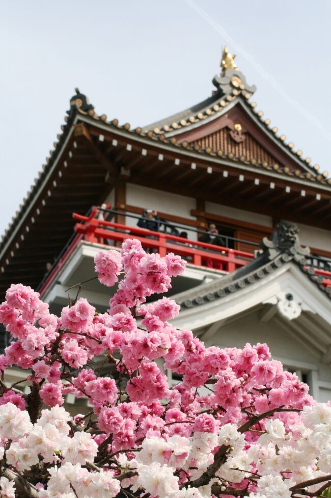 2009春、桜の季節の清洲城(4/5)：江戸時代の城跡、明治・大正時代の城跡、大手門