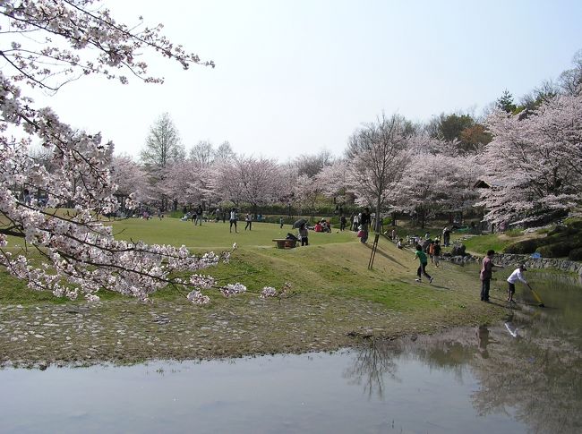 けいはんな記念公園は、京都府相楽郡精華町にあり、<br />関西文化学術研究都市の中心部に立地しています。<br />総面積２４.１ヘクタールで、芝生広場、谷あい、<br />日本庭園（水景園）からなっています。<br /><br />公園の前は幾度となく通るのですが、訪れたのは１０年ぶり位でしょうか。ちょっと覘いてみました。<br />