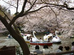 踊る宴会 @ 井の頭公園