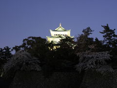 気分転換に名古屋城（名城公園）