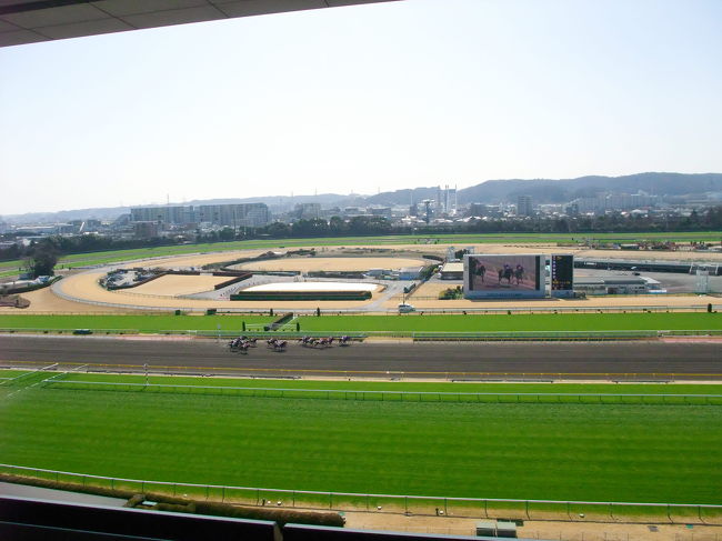 生まれて初めて行った競馬場、生まれて初めて買った勝ち馬投票権（馬券）。競馬とは奥が深く、競馬場も奥が深かった･･･