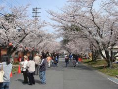 2009年4月　～　お花見　宇治駐屯地春の一般開放　～