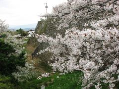 桜咲く九州へ(2) ほとめきの街 久留米散策 ～2009年 春～