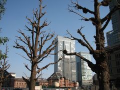 久しぶりに東京・丸の内付近を散策する?東京・丸の内側の風景