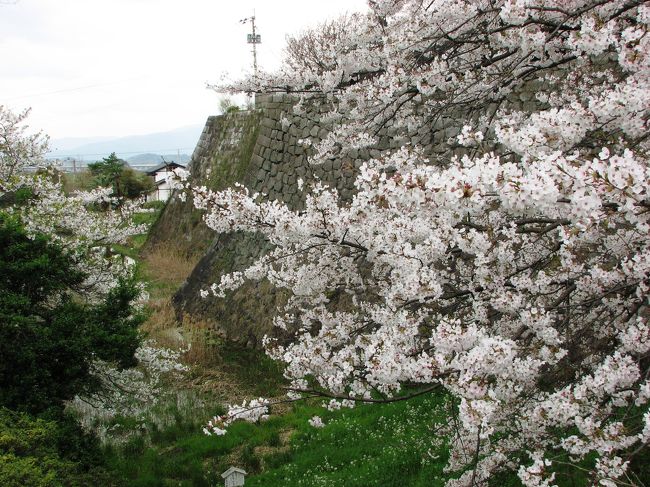 福岡行きが決まったのはいいのですが、はてさて、どこを見てまわろうか？ と少々悩みました。<br /><br />で、決めたのが、まず、行ったことのない久留米散策。<br />城跡がある、というので楽しみに行きました。<br />3月後半、冷え込んでしまった日本ですが、その影響で、訪れた久留米は桜が満開でした\(^o^)／<br /><br /><br />観光ガイドやポスターなどで「ほとめき」という言葉をよく目にしました。<br />久留米では、おもてなしすることを「ほとめき」と言うのだそうです。<br /><br />