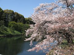 昼下がりの日比谷　*春*　