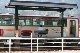 2009春、満開の根尾の薄墨桜(1/4)：樽見駅、芝桜、根尾川、薄墨公園、薄墨桜