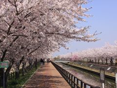 ☆さくらネックレス　須ヶ谷川桜づつみ 　2009年　＜稲沢市平和町＞