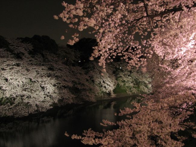 昨夜にも訪れた千鳥ヶ淵。<br />風も強く、途中から雨に降られてしまったため<br />早々に引き上げた事がどうしても悔やまれ、リベンジでの<br />再訪。<br />日曜の上にライトアップ終了30分前に訪れたのが良かったのか<br />人出もぼちぼち。<br />ほぼ無風な上に、ボート乗り場営業時間終了後の為か、水面に<br />映る桜の姿が尚一層美しい。<br />散策途中でライトアップ終了時間となり、対岸の桜は一瞬で<br />闇の中に・・・<br />うっそうとした暗闇の世界と化し、ある意味貴重な瞬間に<br />出会った事へのおもしろみを感じながら、その場を後にする。