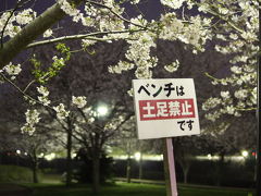 飛行機と成田空港と夜桜のコラボレーション　in成田さくらの山