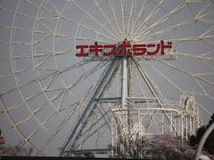 満開の桜が虚しく咲き誇る 「エキスポランド」