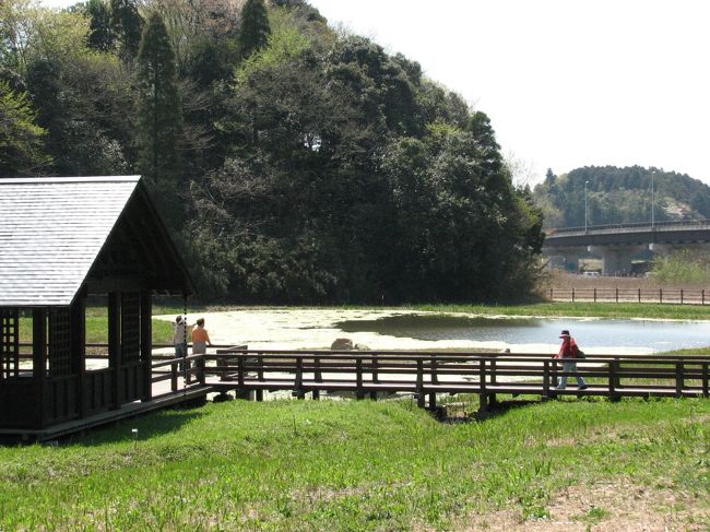 北総花の丘公園は、これまでの公園の「集い」・「遊ぶ」機能に、「学ぶ」ことをプラスした大きな特徴のある公園です。温室をイメージした総ガラス張りの「花と緑の文化館」の中には、展示スペースだけでなく多目的室、講習室等が設置され、花と緑に関するさまざまな行事やイベントに利用できるほか、こうしたことに関する情報や文化、コミュニケーシヨンの発信地として期待されています。<br /><br />北総花の丘公園は、２００９年４月１日に拡張オープンし、千葉ニュータウン地区で最も大きな都市公園となりました。全体の併用面積が３５．７ｈａあり、５つのゾーンに分かれています。すでにＢブロック（都市の景ゾーン）とＤブロック（道の景ゾーン）は、オープンしていますが、新たにＡブロック・Ｃブロック（水の景ゾーン）とＥブロック（緑の景ゾーン）がオープンしました。<br /><br />駐車場は、ＢブロックとＥブロックの二箇所にあり、４４７台の駐車が可能で、４時間まで３００円、４時間を超えると６００円となっています。電車でお越しの方は、北総線「千葉ユータウン中央駅」下車、徒歩１０分です。