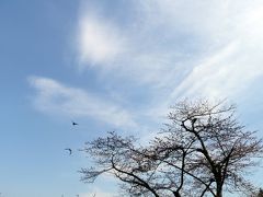 塩竈神社、夕陽の東名浜　その２