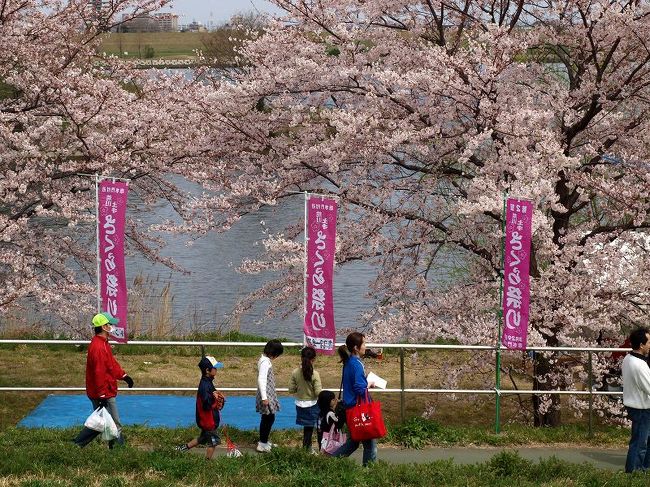 数年は開催されなかった　<br /><br />東京都　北区の赤羽　荒川の「さくら祭」<br /><br />本年は賑やかに開催されました。
