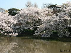 鎌倉の桜　2009