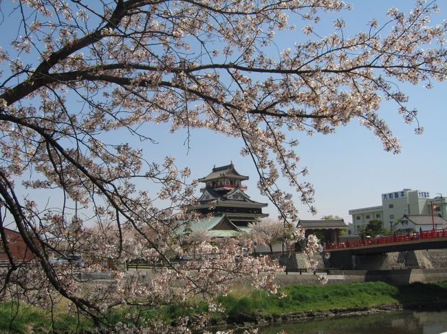 この日はお天気が良かったので、相方と桜を観に清洲城へ行きました。