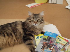 机上から実現！2009夏の旅　（準備編）