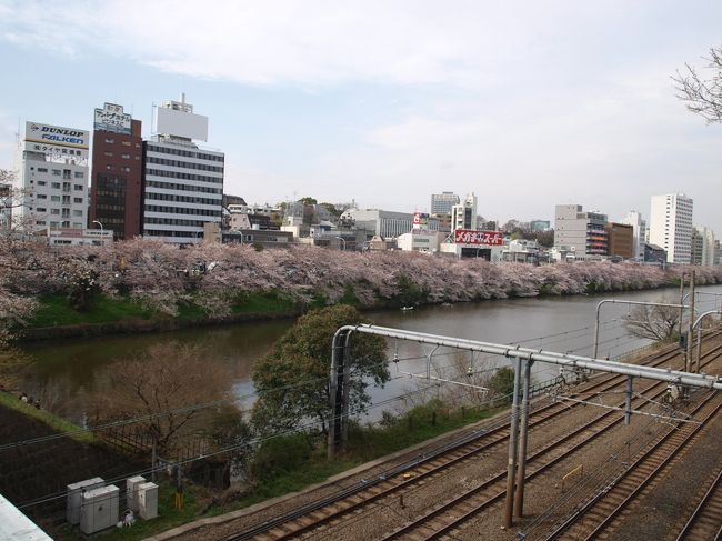 ようやく東京にも桜が咲いて来たようなので、毎年恒例の江戸城花見へ行って参りました。<br />今年は<br />千鳥ヶ淵→北の丸公園（田安門→清水門）→平川門→皇居東御苑→大手門→外濠公園<br />というコースで行こうかと。<br /><br />メインの千鳥ヶ淵・北の丸公園の散策を終えたので、平川門から東御苑に入り、大手門から出て四谷へと向かいました。<br />外濠公園には江戸城の遺構として以前から興味があり、ぜひ一度行ってみたいと思っていたのです。
