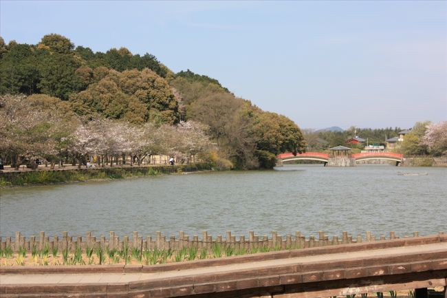 長尾にある亀鶴公園へ遊びに行ってきました。<br />