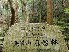 09春　世界遺産「古都奈良」春日山原始林と社寺