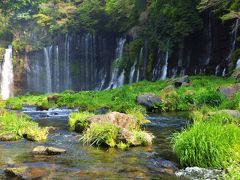 満開の桜を求めて?　白糸の滝編