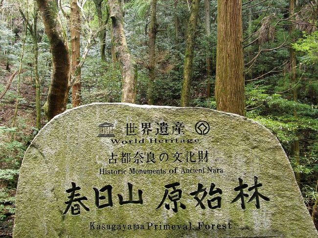 世界遺産「古都奈良」に春日山原始林も含まれているなんて知りませんでした！【東大寺、興福寺、春日大社それに春日山原始林。そして元興寺、平城宮跡,唐招提寺,薬師寺】の8箇所で「古都奈良の文化遺産」<br />今回は奈良公園一帯の春日大社〜春日山原始林、東大寺、興福寺、を春うらら〜♪、お彼岸の連休に巡りました。<br /><br />山や自然を神とする日本古来の神道思想により<br />春日大社の社叢として守られてきた春日山原始林も春日大社と一体となった文化遺産に登録されているのだそうです。<br /><br />感動も新たに日本再発見の旅でした！