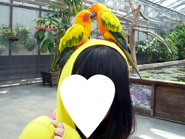娘と掛川花鳥園へ行ってきました。<br /><br />他に「LOVE★掛川花鳥園（トリさんたち編）」の旅行記もあります。<br />お時間がありましたら見て下さいね。