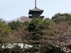 ここは京都か?金沢か?! 横浜三渓園散策