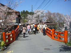 日 本 一 ！  　吉 野 山 の サ ク ラ　 ～ １ ～   