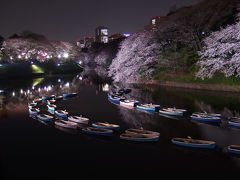 東京夜桜紀行～千鳥ヶ淵～