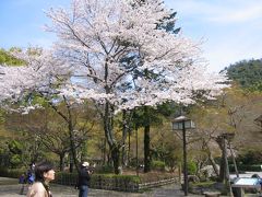 風の旅　岐阜編　梅林公園　1