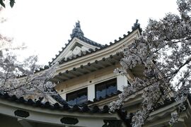 2009春、桜の季節の大垣城(2/5)：天守閣、九曜紋、染井吉野、八重紅枝垂れ桜、丑寅櫓