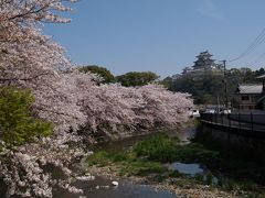 ２００９桜便り　再び姫路城、そしてお城周辺の穴場紹介
