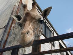 鬼怒川グランドホテル夢の季＆宇都宮動物園♪