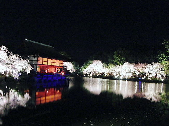 【お花見　in　２００９　第３段】<br /><br />２００９年の京都の桜としては第２段です。<br />第１段の早咲き桜についてはこちらをどうぞ。<br />http://4travel.jp/traveler/taya/album/10322474/<br /><br /><br />今回は原谷苑と平安神宮へ行きました。<br />どちらも以前からどうしても行きたかった場所です。<br /><br />原谷苑はもう本当に圧巻でした。<br />この感動を伝えきれる言葉が見つかりません。<br />視界３６０度を覆いつくす桜に感動しっぱなしでした。<br /><br />平安神宮は紅しだれコンサートへ行って来ました。<br />こちらは某テレビ番組で見てぜひ行きたいと思ってました。<br />幻想的な雰囲気に酔いしれました。<br /><br />今回は２箇所に限定して行きました。<br />全てはゆっくりと桜を楽しむという目的のためです。<br />目的も達成できて予想以上の桜に大満足の１日です。<br />