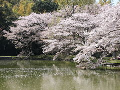 陽春の山の辺の道ウォーク(前半）