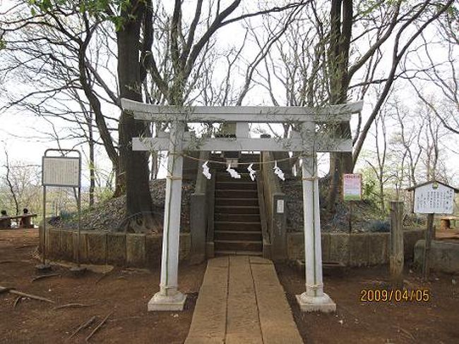 今日は又新旧取り併せての花便り。この辺で最も古い小丘・浅間山と戦後マッカーサーの肝いりで出来た国際大学ICUとの取り合わせ。<br /><br />浅間山は富士・浅間、長野・浅間と系列を同じくする山で、僅か８０ｍ程の高さしかないが、その頂上には「浅間神社」が鎮座している。従って、ここの御祭神は此花咲耶姫である。<br /><br />浅間は元々、浅ましい活火山を形容していたが、こんな小さな山が嘗て活火山だったとは到底信じられないが、いつの頃からかこの山の名前になっている。<br /><br />遠くから見ると巨大な前方後円墳を思わせないでもないが、あるのは、山の端に鎌倉末期の武将・人見四郎の記念碑が立てられている位である。<br /><br />人見街道の名前は今でもこの近くの住宅地に残っていて、同じ様に鎌倉街道もこの辺りを縦横に走っている。<br /><br />この小山の直ぐ下に多摩霊園が広がっていて、鎌倉末期、この辺りが新田・北條との古戦場であり、この地が野辺の送り地であったとすれば、今眼下に広がっている広大な霊園も流れの必然である。<br /><br /><br />一方で、ICU。 International Christian University の略称で分るように、これはキリスト教の伝道の精神に基づき設立された大学で、敬虔なプロテスタント・マッカーサー他進駐軍の面々、主にSeventhday&#39;s Adventistにより、旧日本軍軍需工場を接収した後に建てられた大学とも言われる。　<br /><br />先生もキリスト教徒で、授業も英語で行われるというから、大変レベルの高い大学であり、日本国内のみならず、世界的にも名前の通っている大学である。大学の名前から言ったら「トーダイ」よりか「ICU」の方が有名だろう。<br /><br />まあ、そんな歴史的なこと、学問的なことはどうでも、「花は花」、花に聞いたらそれで良い。新旧それぞれの花の色には違いがないのだから。<br /><br /><br /><br /><br /><br />