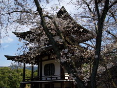 2009　京都桜便り２　Part2　勧修寺