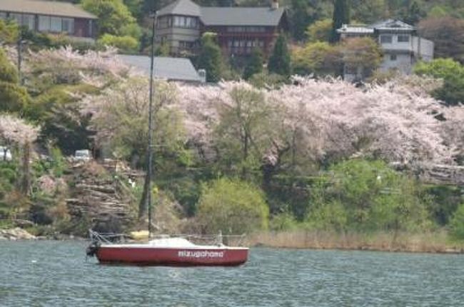 休暇村　近江八幡の温泉で泊まり、向かいの島、沖島に花見クリージング、沖島のさくら、島を半周し、後は彦根城を見て帰参