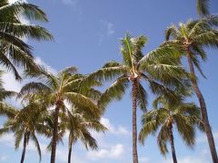 JALマイルでハワイ旅行（初日）