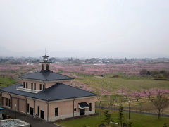 雨の中の桃源郷