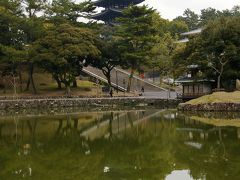 奈良公園、東大寺周辺をぶらりと散策しました