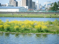 新緑を満喫！！多摩川を下る・・